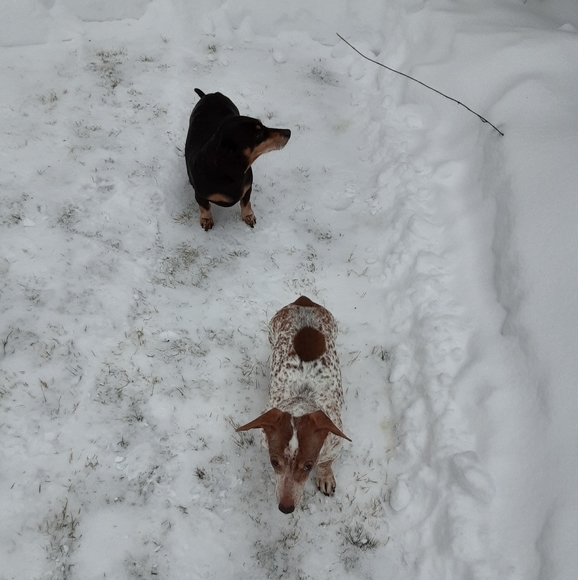 Meet your Posher, Kim - Picture 3 of 3